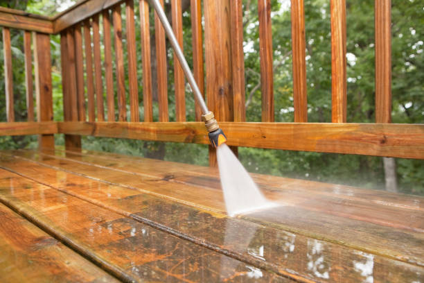 Animal Enclosure Cleaning in Hackberry, TX